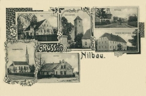 Nielubia widokowa - Reprodukcja 27908