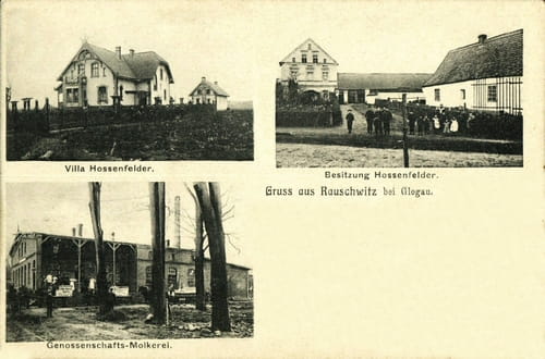 nowe-27929.jpg