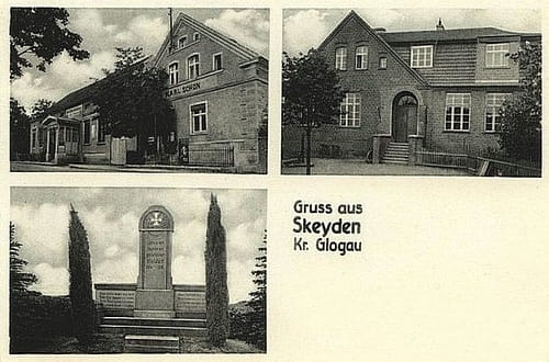 nowe-27952.jpg