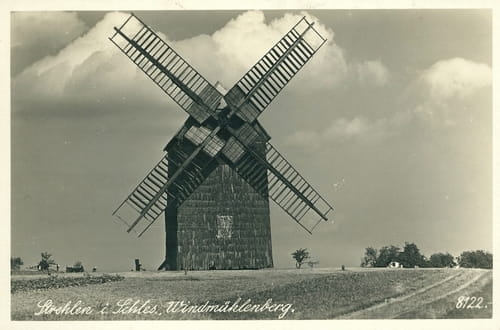 nowe-27986.jpg