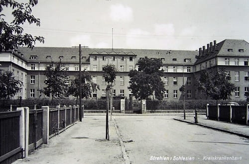 nowe-27988.jpg