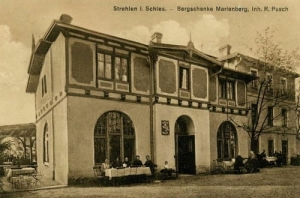 Strzelin - Reprodukcja 27992