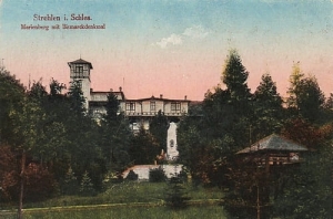 Strzelin pomnik Bismarcka - Reprodukcja 27994