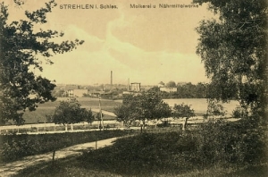 Strzelin Mleczarnia - Reprodukcja 28013