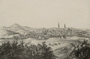 Strzelin panorama - Reprodukcja 28015