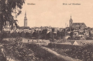 Strzelin panorama - Reprodukcja 28018