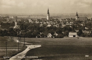 Strzelin panorama - Reprodukcja 28019