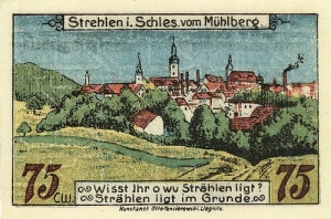 Strzelin panorama - Reprodukcja 28020