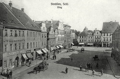 nowe-28030.jpg