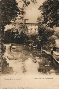 Strzelin - Reprodukcja 28044