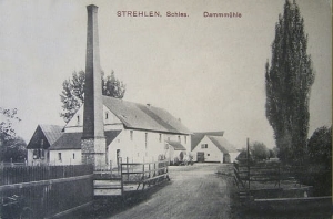 Strzelin młyn - Reprodukcja 28046