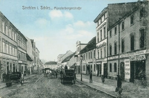 Strzelin Munsterbergerstr. - Reprodukcja 28056