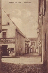 Strzelin Siebergasse - Reprodukcja 28062