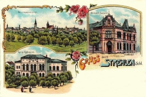 Strzelin widokowa - Reprodukcja 28067