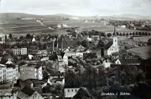 Strzelin panorama - Reprodukcja 28069