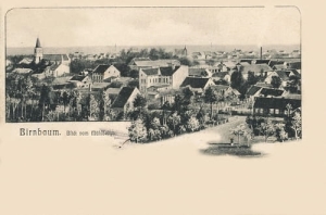 Międzychód panorama - Reprodukcja 28119