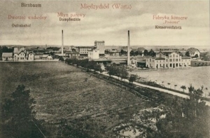 Międzychód panorama - Reprodukcja 28122