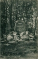 nowe-28129.jpg