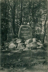 Międzychód park - Reprodukcja 28129