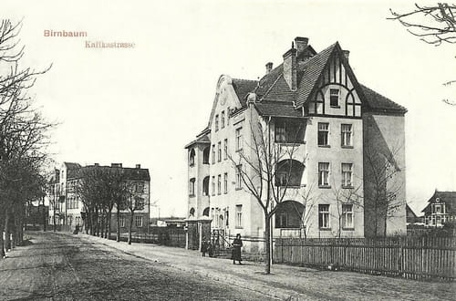 nowe-28136.jpg