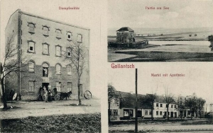 Gołańcz widokowa, młyn - Reprodukcja 28166
