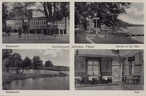 Jelcz - Laskowice widokowa - Reprodukcja 28209