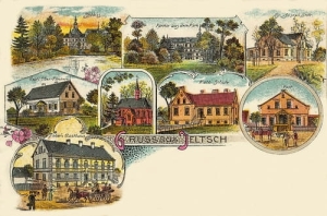 Jelcz - Laskowice widokowa - Reprodukcja 28229