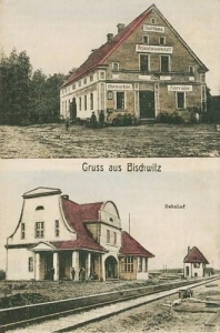 Biskupice Oławskie - Reprodukcja 28232