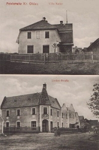 Bystrzyca widokowa - Reprodukcja 28235