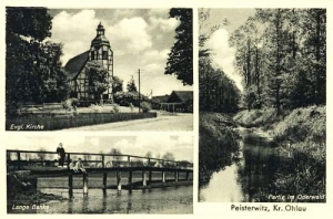 Bystrzyca widokowa - Reprodukcja 28243
