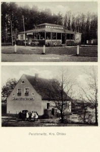 Bystrzyca widokowa - Reprodukcja 28245