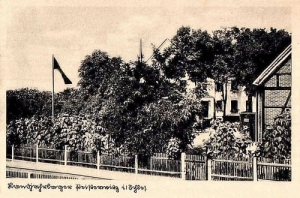 Bystrzyca - Reprodukcja 28246