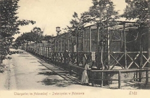 Łódź zwierzyniec - Reprodukcja 28294
