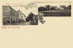 Drzemlikowice widokowa - Reprodukcja 28295