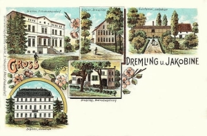 Drzemlikowice widokowa - Reprodukcja 28298