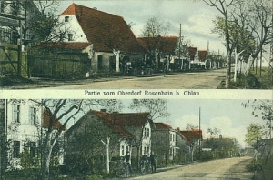 Godzikowice widokowa - Reprodukcja 28306