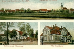 Wilkszyn widokowa - Reprodukcja 28324