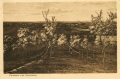 nowe-28328.jpg