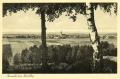 nowe-28329.jpg