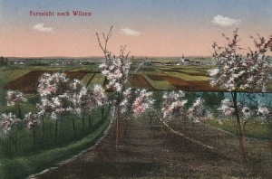 Wilkszyn panorama - Reprodukcja 28330