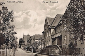 Środa Śląska - Reprodukcja 28386