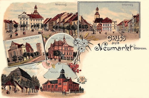 nowe-28389.jpg
