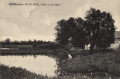 nowe-28400.jpg