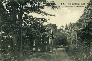 Młynary park - Reprodukcja 28417