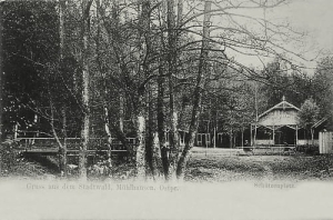 Młynary strzelnica - Reprodukcja 28419
