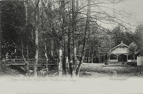 nowe-28419.jpg