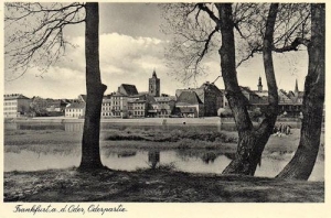 Słubice panorama - Reprodukcja 28443