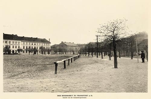 28499 (Copy).jpg
