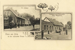 Świerklaniec widokowa - Reprodukcja 28693