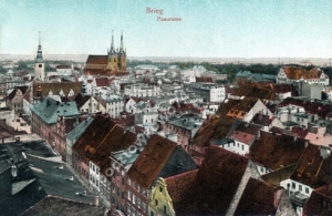 Brzeg Panorama -Reprodukcja 3587